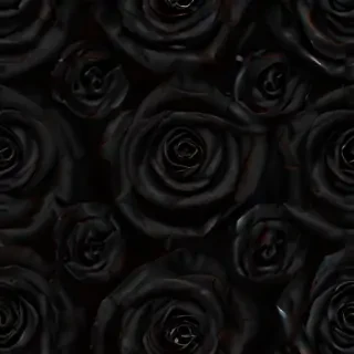blackrose background