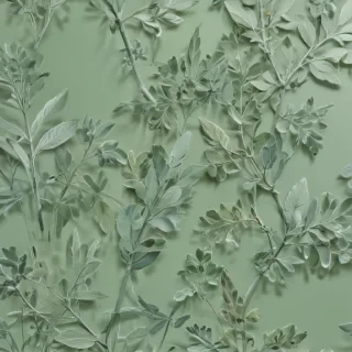 aesthetic sage green