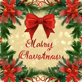 png merry christmas