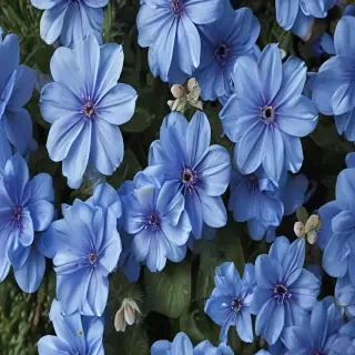 blue flowers aesthetic