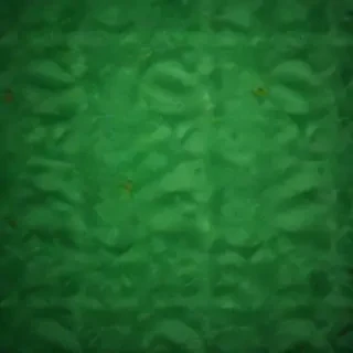 green colour background wallpaper