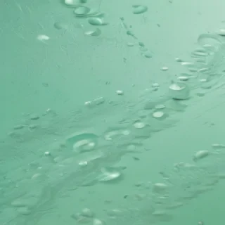 mint green background