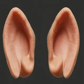 ears png
