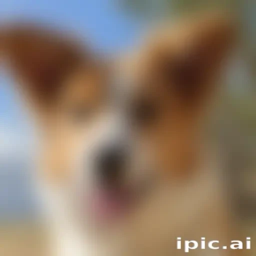 aussie dog