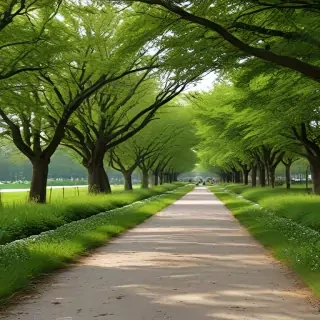 park png