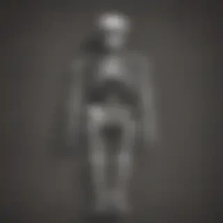 skeleton wallpaper
