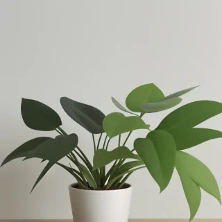 plant phone wallpaper