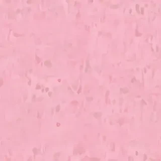 pink wall paper