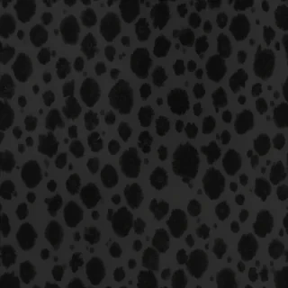 black flower background