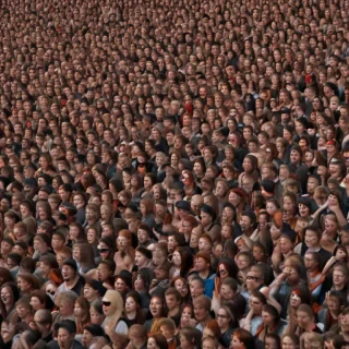 crowd png