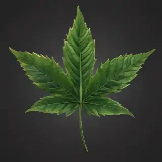 pot leaf png