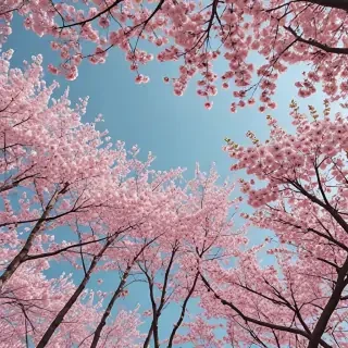 aesthetic spring wallpapers