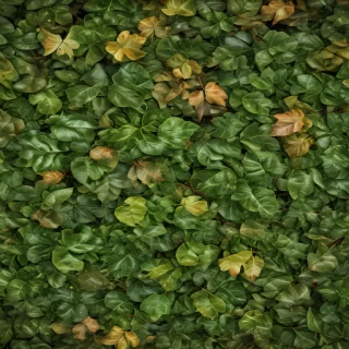 leaf backgrounds