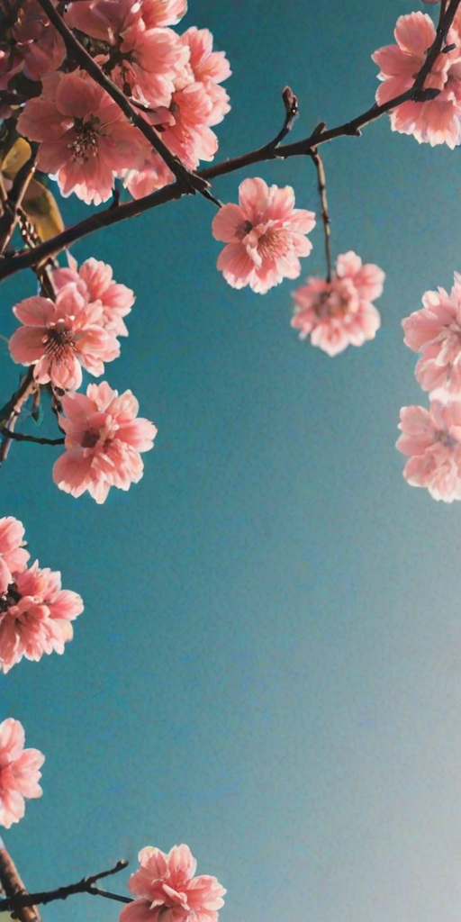 inspirational backgrounds for iphone