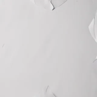 torn paper transparent