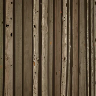 tree background