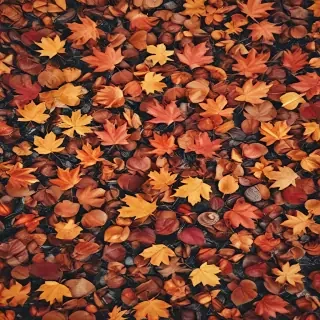 autumn background iphone