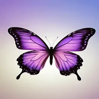 purple butterfly clipart