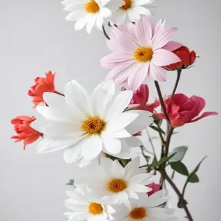 flower white bg