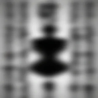 people silhouettes