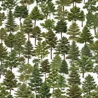 trees no background