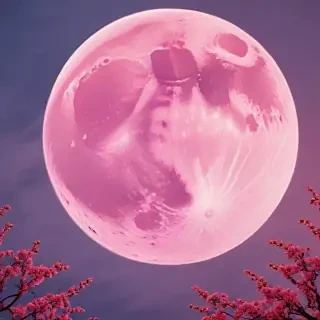 pink moon wallpaper