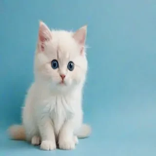 cute blue background