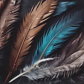 feather background