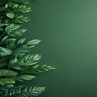 green backgrounds aesthetic