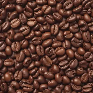coffee bean png