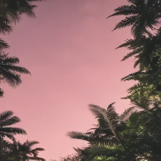 aesthetic ig story background