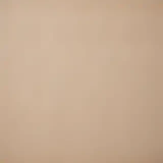 canvas texture overlay