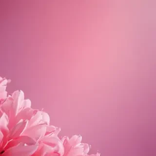 cute pink iphone backgrounds