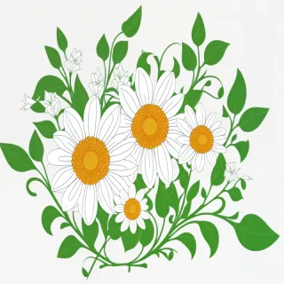 transparent background flower clipart