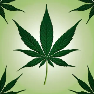 marijuana leaf transparent background