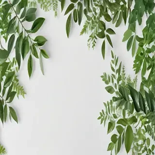 white and greenery background