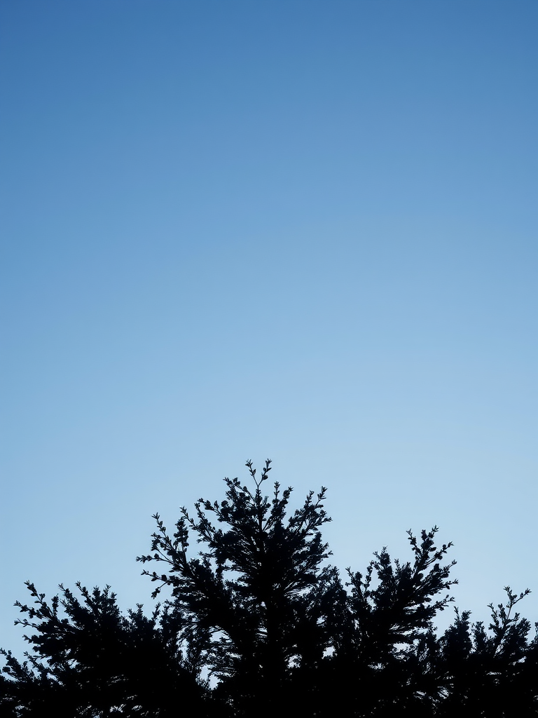a minimalist black silhouette of a tree in a clear blue sky, 50mm lens, f/2.8 aperture, ISO 100, golden hour lighting, taken with a DSLR camera, overhead view