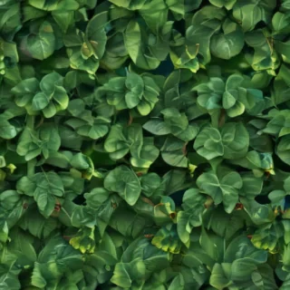 background green leaves