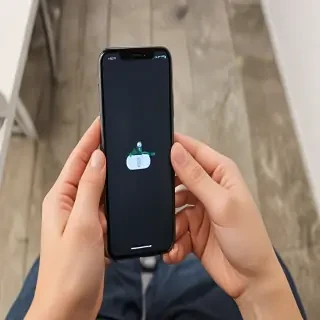 person holding phone