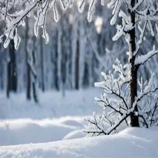 snow background iphone