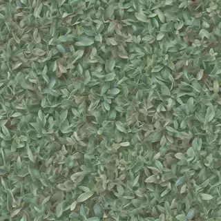 sage green photos