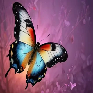 wallpaper butterfly images