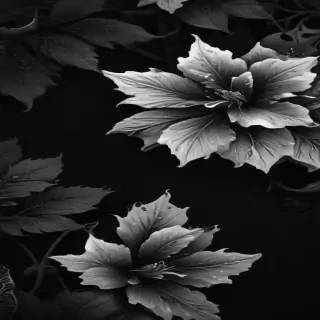 black wallpaper for iphone