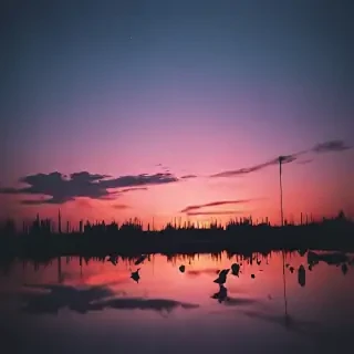 aesthetic music pictures