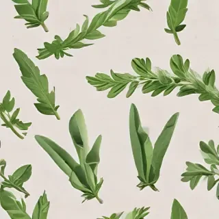 sage png