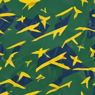 brazilian flag
