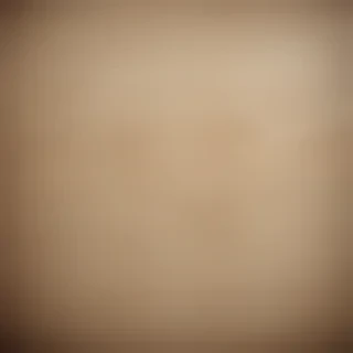 canvas texture overlay