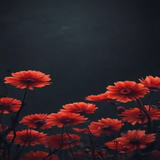 phone backgrounds dark