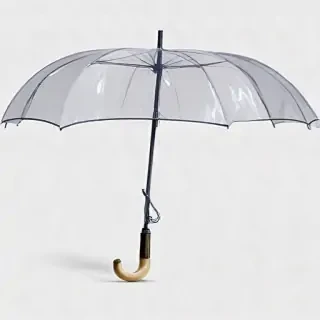 umbrella transparent background