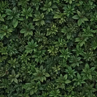 plant desktop wallpaper